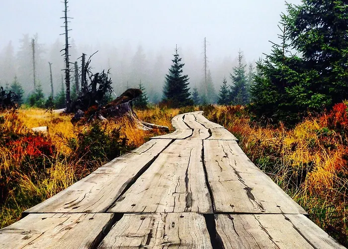 Medvedin 100 Apartament